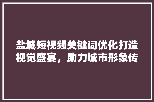 盐城短视频关键词优化打造视觉盛宴，助力城市形象传播 网站建设公司