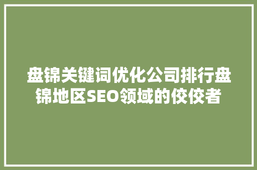 盘锦关键词优化公司排行盘锦地区SEO领域的佼佼者 神马SEO
