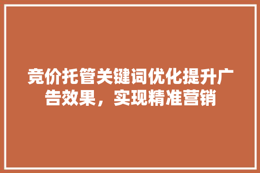 竞价托管关键词优化提升广告效果，实现精准营销 SEO关键词
