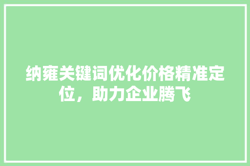 纳雍关键词优化价格精准定位，助力企业腾飞
