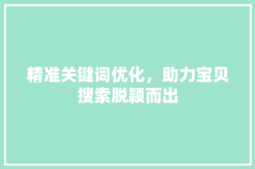 精准关键词优化，助力宝贝搜索脱颖而出 网站建设公司