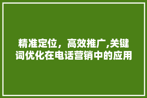 精准定位，高效推广,关键词优化在电话营销中的应用步骤 必应SEO