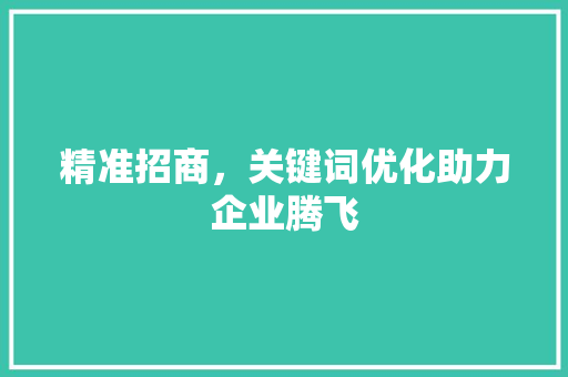 精准招商，关键词优化助力企业腾飞 必应SEO