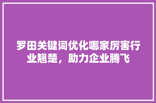 罗田关键词优化哪家厉害行业翘楚，助力企业腾飞 网站建设公司