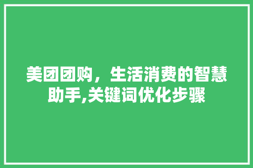 美团团购，生活消费的智慧助手,关键词优化步骤 SEO关键词