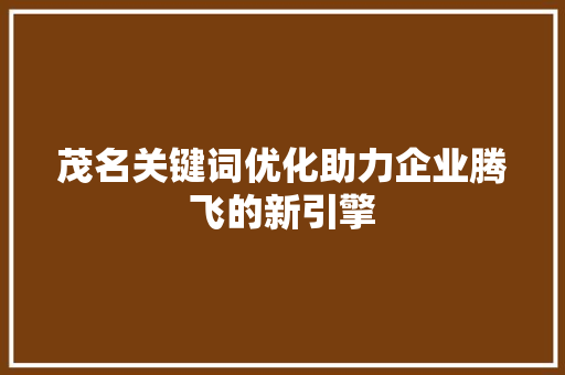 茂名关键词优化助力企业腾飞的新引擎 SEO关键词