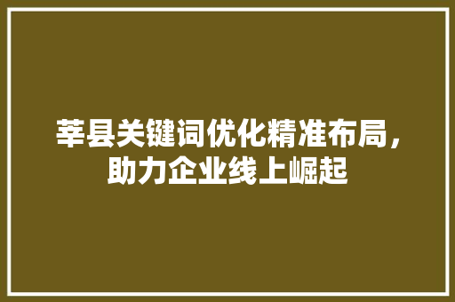 莘县关键词优化精准布局，助力企业线上崛起 搜狗SEO