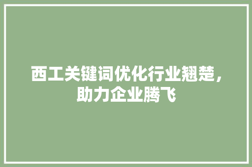 西工关键词优化行业翘楚，助力企业腾飞 百度SEO
