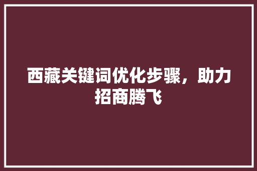 西藏关键词优化步骤，助力招商腾飞 神马SEO