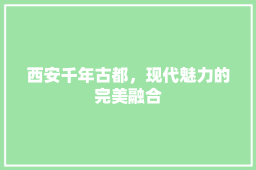 西安千年古都，现代魅力的完美融合 百度SEO