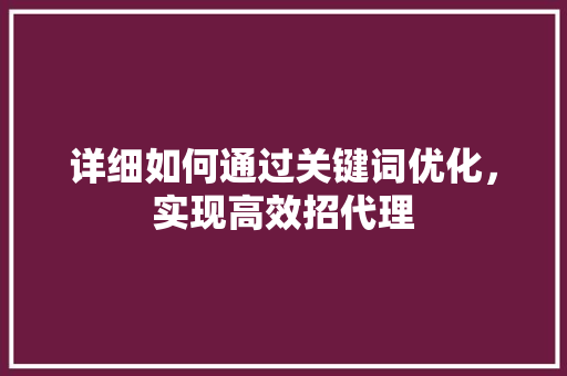 详细如何通过关键词优化，实现高效招代理 网站建设公司