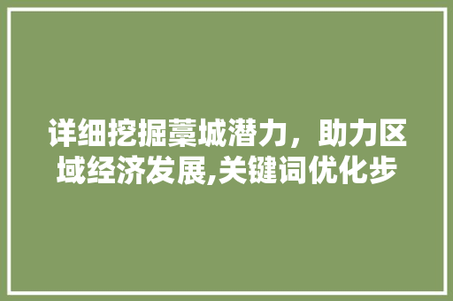 详细挖掘藁城潜力，助力区域经济发展,关键词优化步骤探析 百度SEO