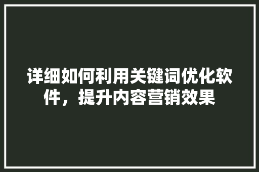 详细如何利用关键词优化软件，提升内容营销效果 百度SEO