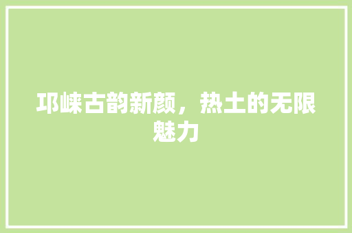 邛崃古韵新颜，热土的无限魅力 网站建设公司