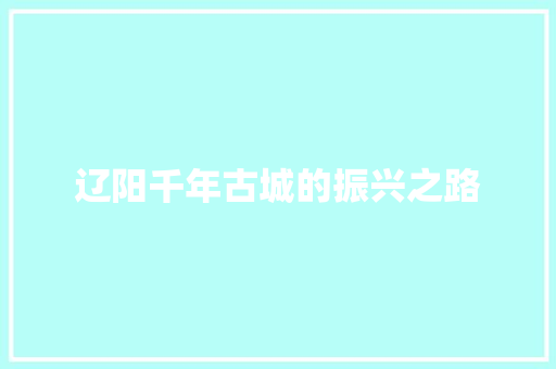 辽阳千年古城的振兴之路 必应SEO