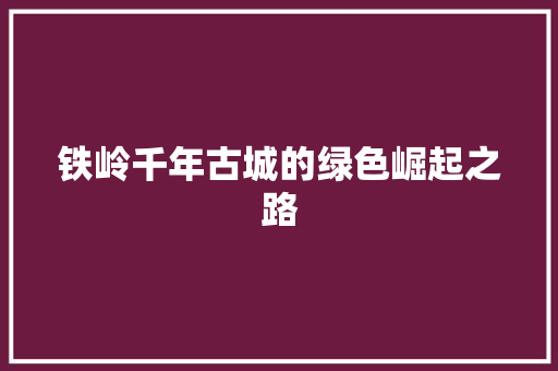 铁岭千年古城的绿色崛起之路 神马SEO