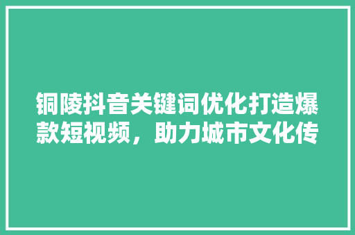 铜陵抖音关键词优化打造爆款短视频，助力城市文化传播 百度SEO
