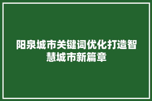 阳泉城市关键词优化打造智慧城市新篇章 网站建设公司