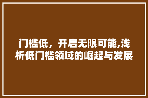 门槛低，开启无限可能,浅析低门槛领域的崛起与发展 搜狗SEO
