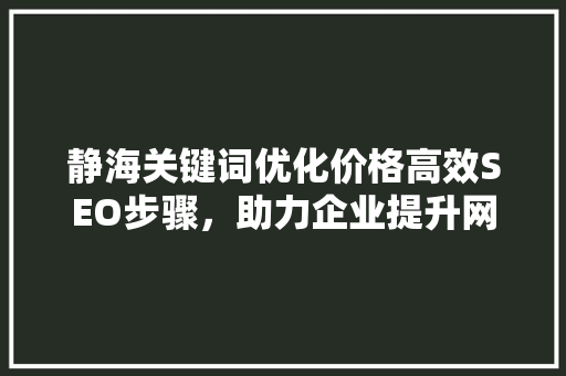 静海关键词优化价格高效SEO步骤，助力企业提升网络竞争力 百度SEO