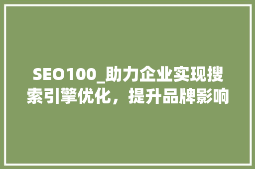 SEO100_助力企业实现搜索引擎优化，提升品牌影响力 网站建设公司