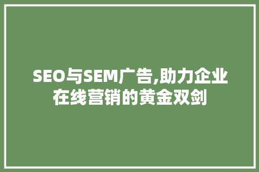 SEO与SEM广告,助力企业在线营销的黄金双剑 必应SEO