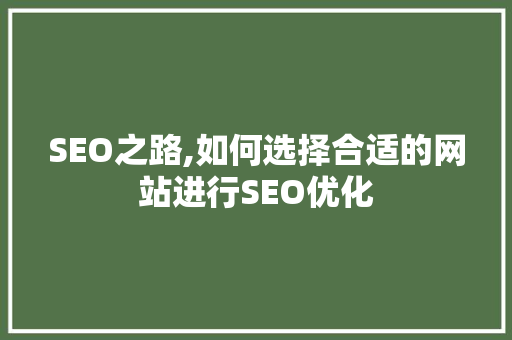 SEO之路,如何选择合适的网站进行SEO优化 百度SEO