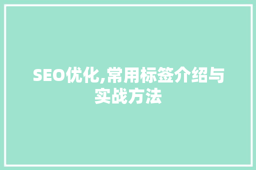 SEO优化,常用标签介绍与实战方法 网站建设公司