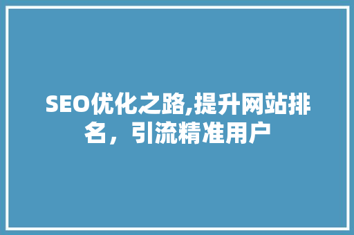 SEO优化之路,提升网站排名，引流精准用户 百度SEO