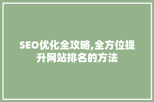SEO优化全攻略,全方位提升网站排名的方法 SEO关键词