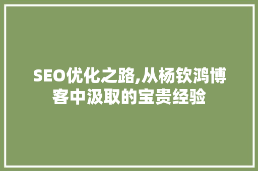 SEO优化之路,从杨钦鸿博客中汲取的宝贵经验 SEO关键词
