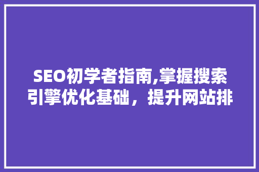 SEO初学者指南,掌握搜索引擎优化基础，提升网站排名 SEO关键词