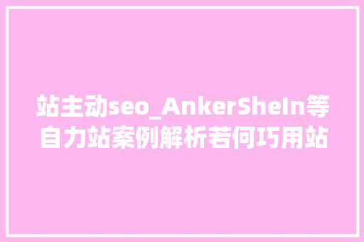 站主动seo_AnkerSheIn等自力站案例解析若何巧用站内营销功能快速出单 站主动seo_AnkerSheIn等自力站案例解析若何巧用站内营销功能快速出单 必应SEO