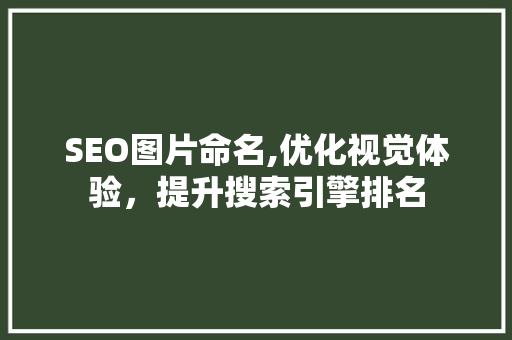 SEO图片命名,优化视觉体验，提升搜索引擎排名