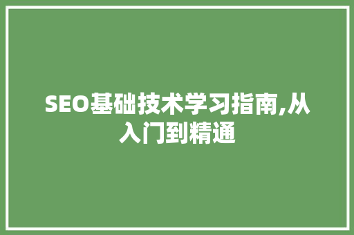 SEO基础技术学习指南,从入门到精通 百度SEO