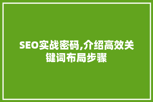 SEO实战密码,介绍高效关键词布局步骤