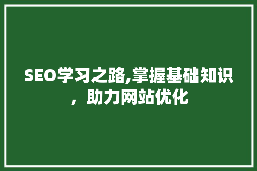 SEO学习之路,掌握基础知识，助力网站优化