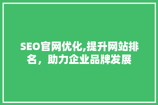 SEO官网优化,提升网站排名，助力企业品牌发展 神马SEO