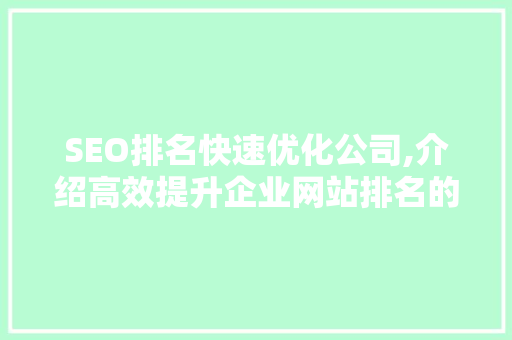 SEO排名快速优化公司,介绍高效提升企业网站排名的步骤