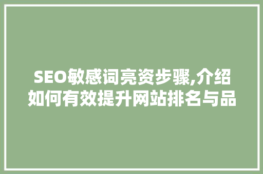 SEO敏感词亮资步骤,介绍如何有效提升网站排名与品牌形象 SEO关键词