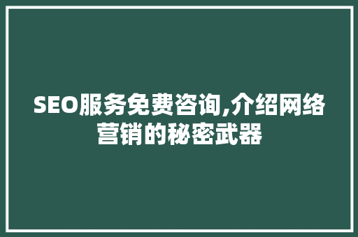 SEO服务免费咨询,介绍网络营销的秘密武器 SEO关键词