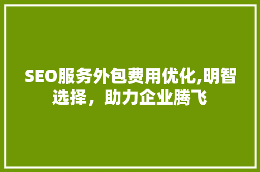 SEO服务外包费用优化,明智选择，助力企业腾飞 网站建设公司