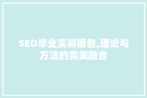 SEO毕业实训报告,理论与方法的完美融合 神马SEO