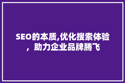 SEO的本质,优化搜索体验，助力企业品牌腾飞 SEO关键词