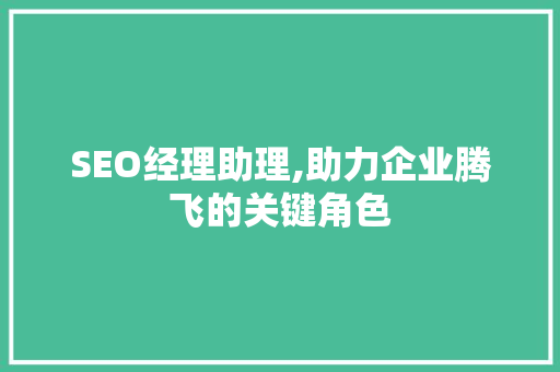 SEO经理助理,助力企业腾飞的关键角色 百度SEO