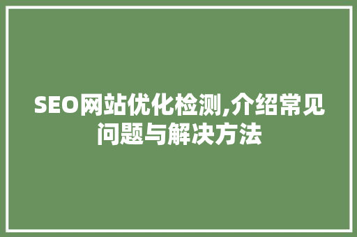 SEO网站优化检测,介绍常见问题与解决方法 网站建设公司