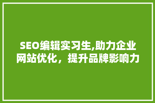 SEO编辑实习生,助力企业网站优化，提升品牌影响力 搜狗SEO