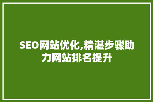 SEO网站优化,精湛步骤助力网站排名提升 必应SEO