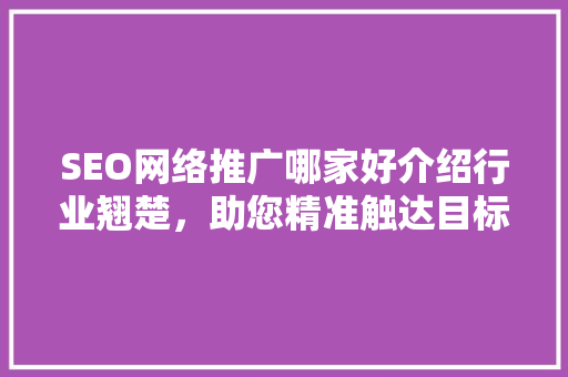 SEO网络推广哪家好介绍行业翘楚，助您精准触达目标用户