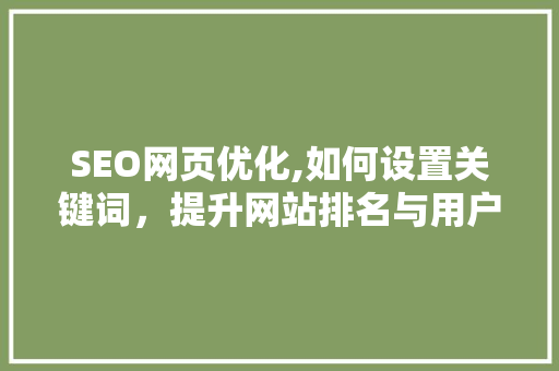 SEO网页优化,如何设置关键词，提升网站排名与用户体验 必应SEO